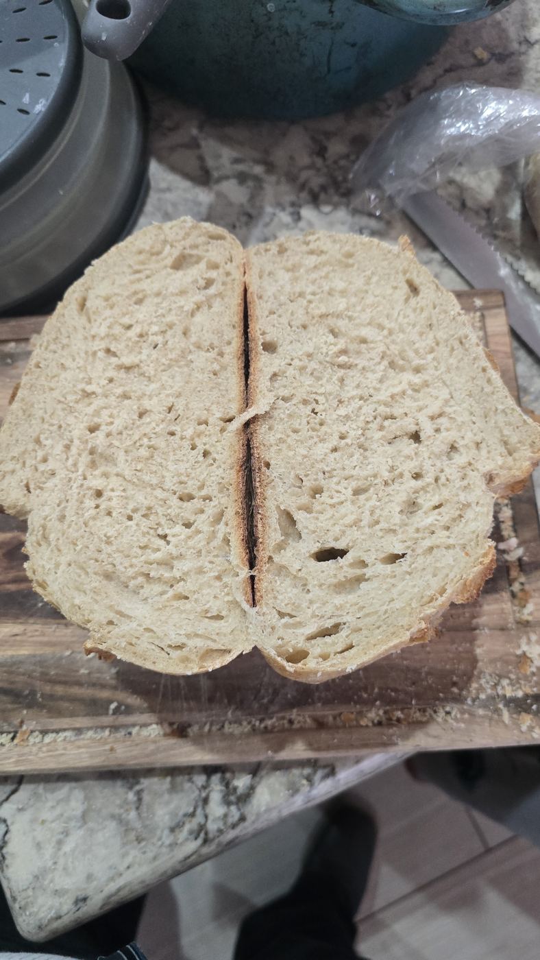 Inside of a sourdough loaf showing an open crumb
