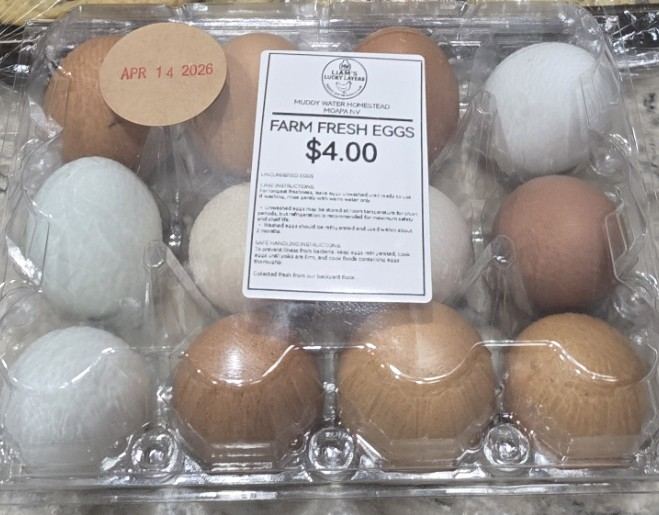 Labeled carton of farm fresh eggs, $4.00
